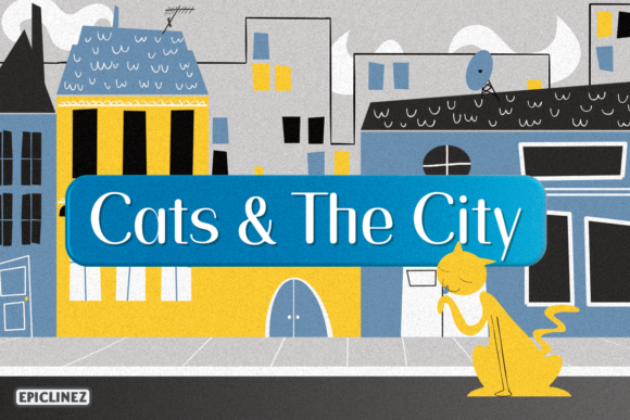 Introducing Cats and the City: A Versatile Font for Editorial Design