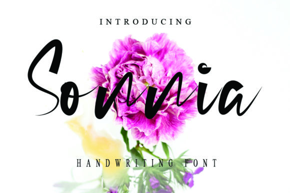 Sonnia: A Cool Handwritten Font for Engaging Campaigns